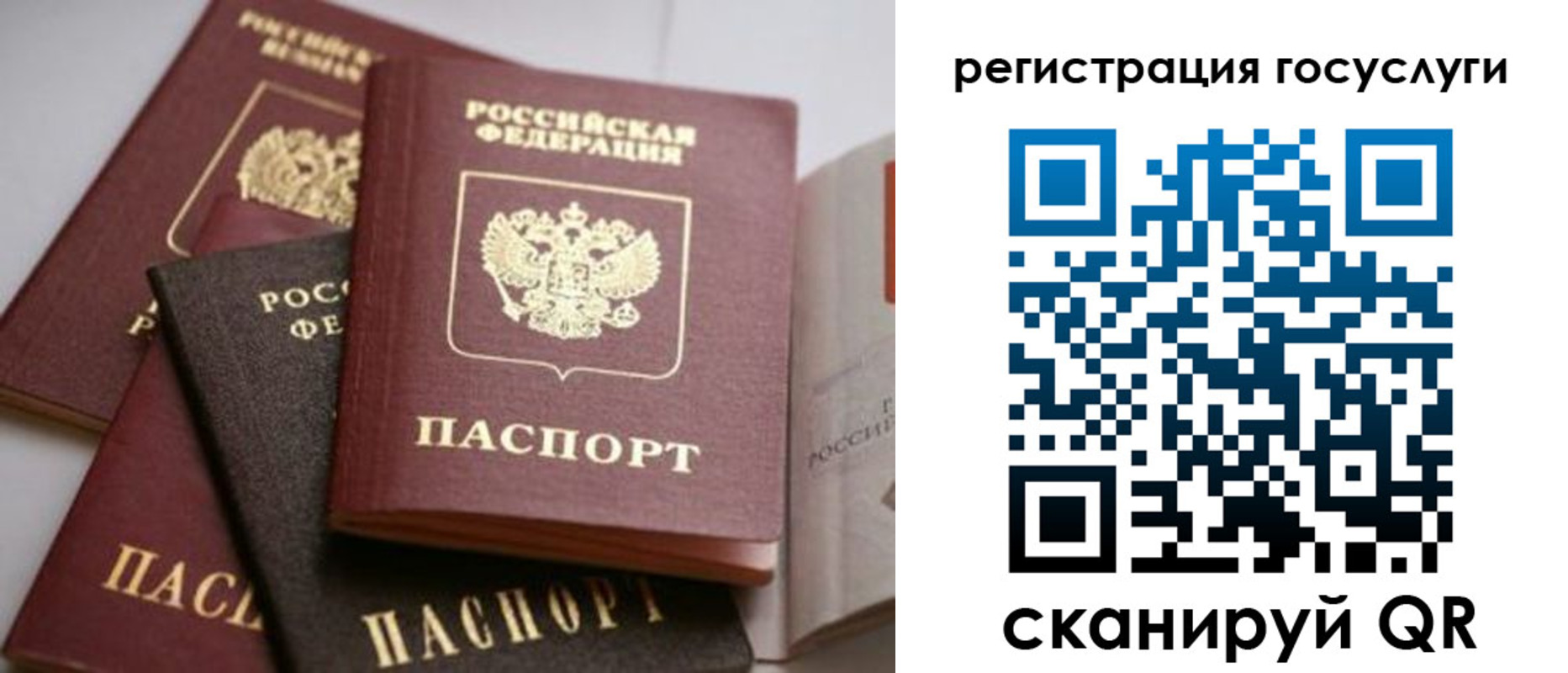 пропишу в квартире в Лесозаводске